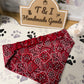 Red Berry Dog Bandana